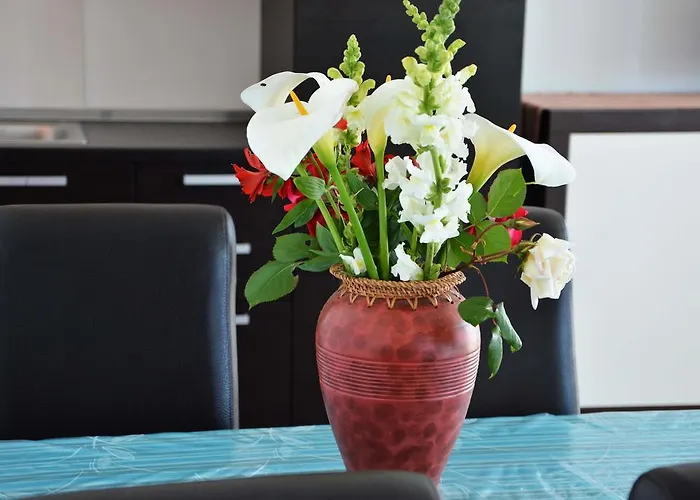 Apartamento Buturi Soline (Dalmatia)